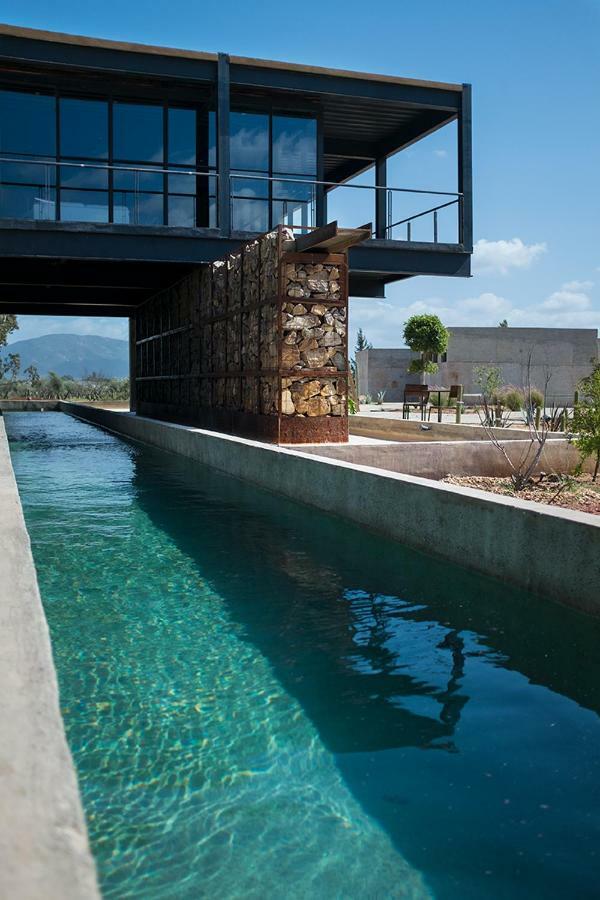 Agua De Vida Otel Valle de Guadalupe Dış mekan fotoğraf