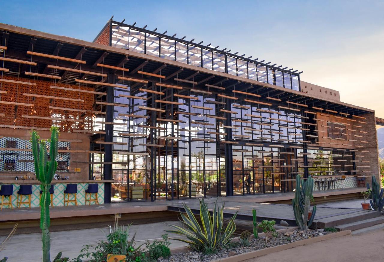 Agua De Vida Otel Valle de Guadalupe Dış mekan fotoğraf